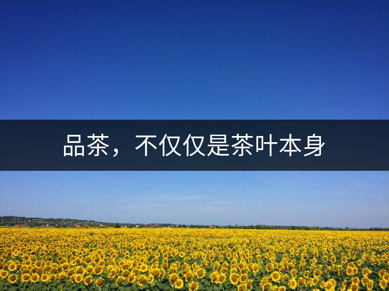 品茶，不僅僅是茶葉本身