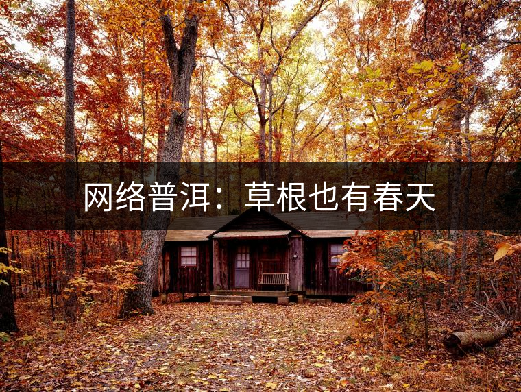 網絡普洱：草根也有春天