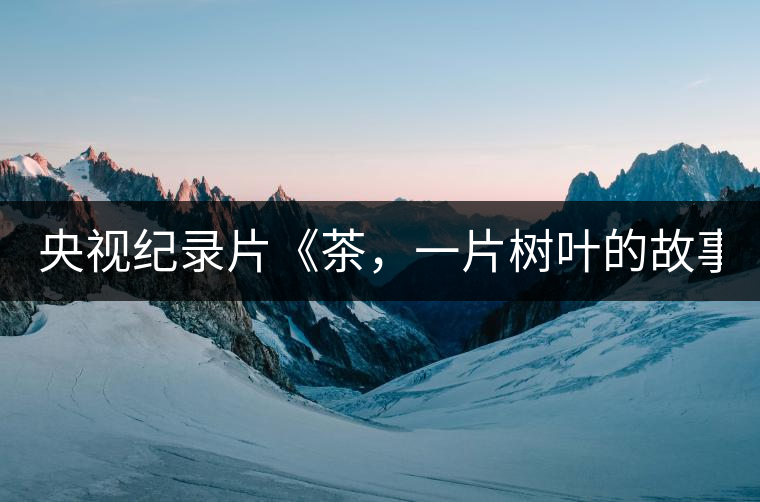 央視紀(jì)錄片《茶，一片樹葉的故事》紀(jì)錄片 昨晚開播