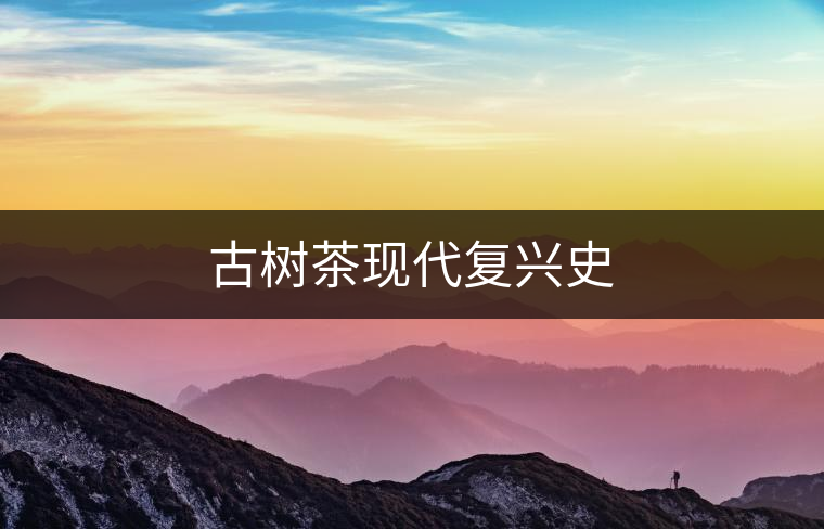 古樹茶現(xiàn)代復(fù)興史 古樹茶現(xiàn)代復(fù)興史