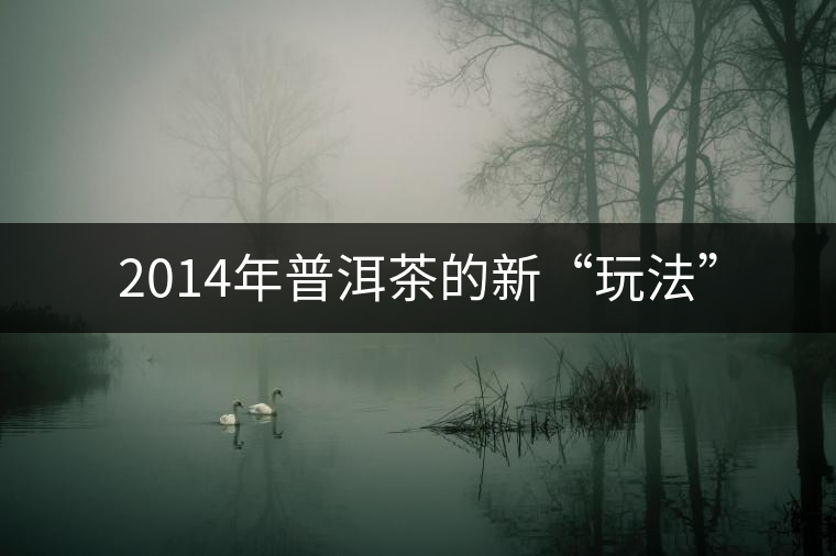 2014年普洱茶的新“玩法”