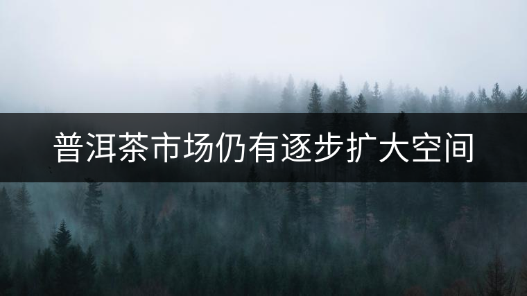 普洱茶市場仍有逐步擴大空間 普洱茶市場仍有逐步擴大空間