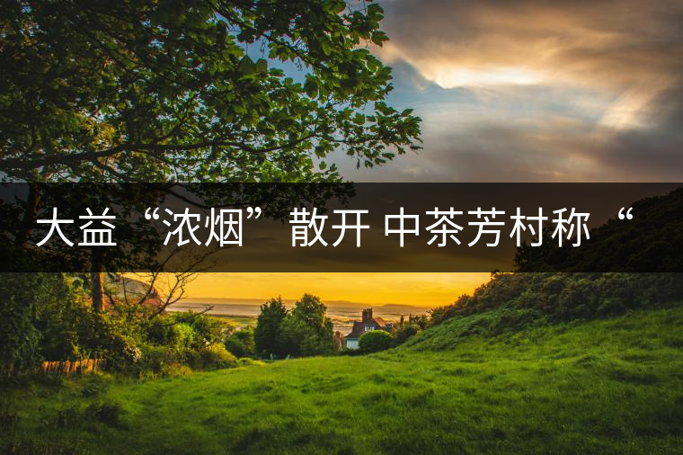 大益“濃煙”散開(kāi) 中茶芳村稱(chēng)“王”？