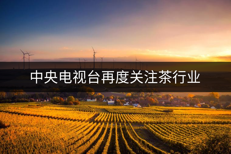 中央電視臺再度關注茶行業(yè) 中央電視臺再度關注茶行業(yè)