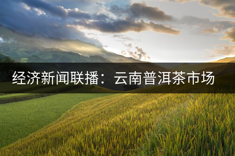 經濟新聞聯(lián)播：云南普洱茶市場調查