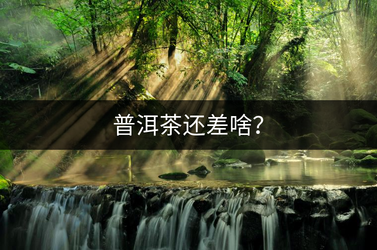普洱茶還差啥？