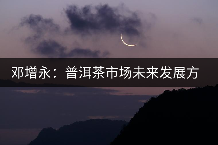 鄧增永：普洱茶市場(chǎng)未來(lái)發(fā)展方向展望