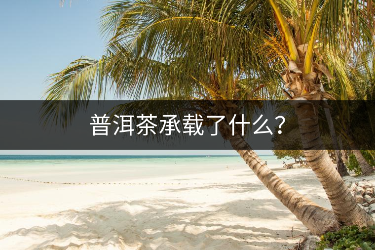 普洱茶承載了什么？