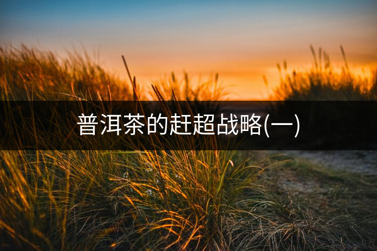 普洱茶的趕超戰(zhàn)略(一)