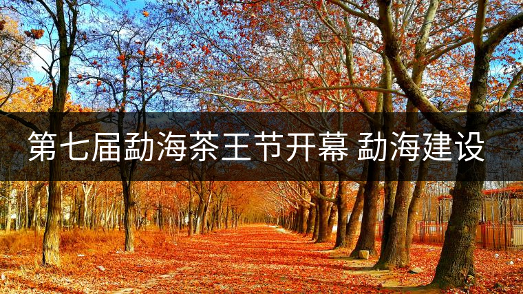 第七屆勐海茶王節(jié)開幕 勐海建設中國普洱茶第一縣 第七屆勐海茶王節(jié)開幕 勐海建設中國普洱茶第一縣