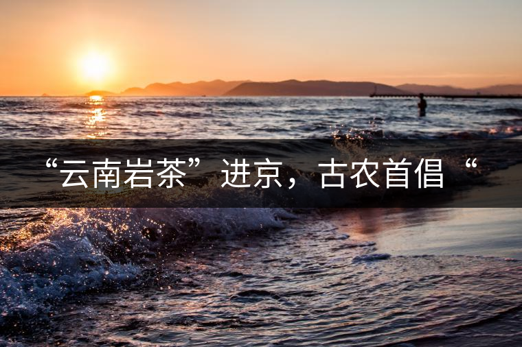“云南巖茶”進(jìn)京，古農(nóng)首倡“名茶+名企”戰(zhàn)略