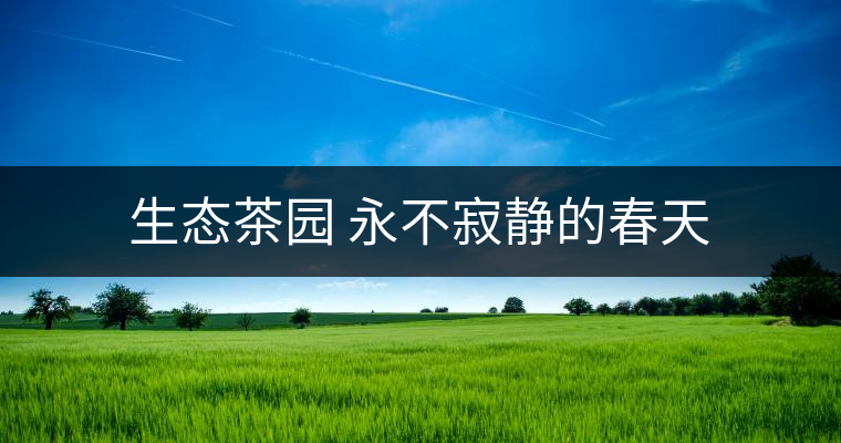 生態(tài)茶園 永不寂靜的春天