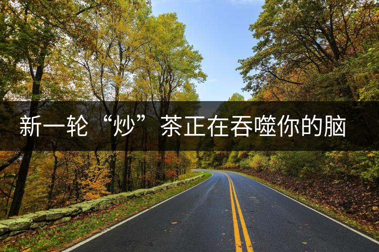 新一輪“炒”茶正在吞噬你的腦子，茶葉收藏不宜提倡