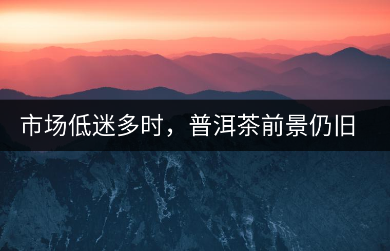 市場低迷多時，普洱茶前景仍舊被大佬們看好