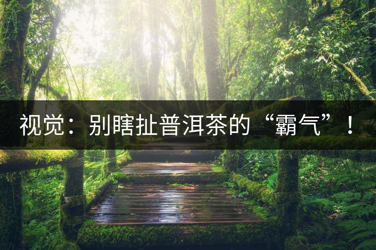 視覺(jué)：別瞎扯普洱茶的“霸氣”！偽大師！