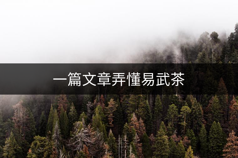 一篇文章弄懂易武茶