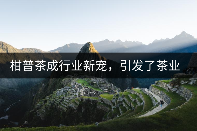 柑普茶成行業(yè)新寵，引發(fā)了茶業(yè)市場(chǎng)新的機(jī)遇與爆點(diǎn)