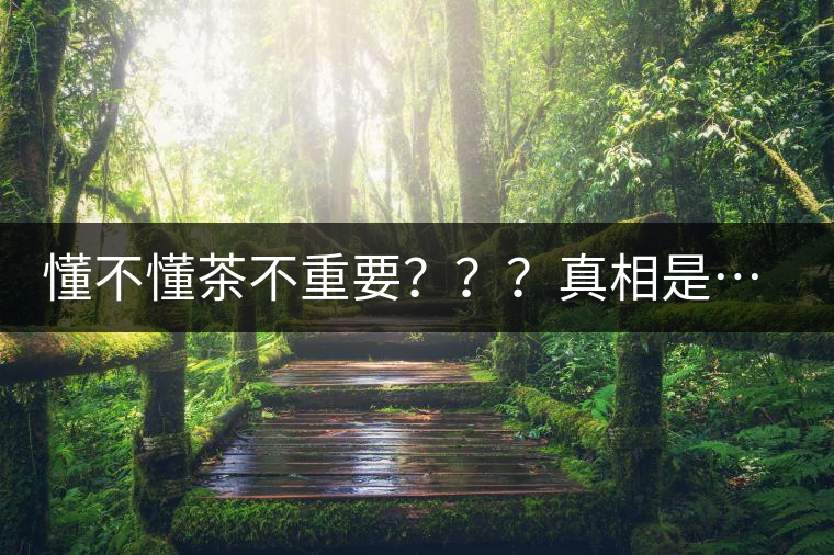 懂不懂茶不重要？？？真相是……