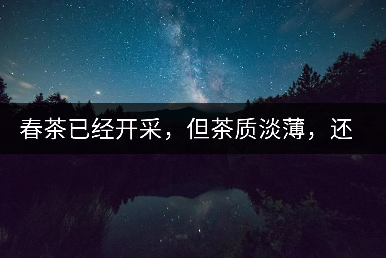 春茶已經(jīng)開采，但茶質(zhì)淡薄，還需一兩周
