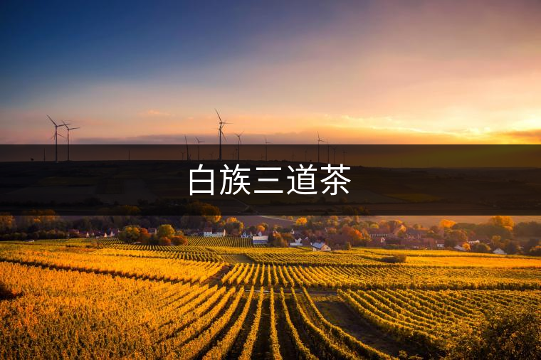 白族三道茶 白族三道茶