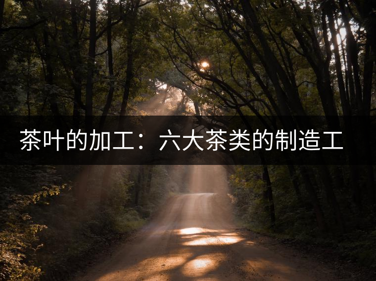 茶葉的加工：六大茶類(lèi)的制造工藝簡(jiǎn)介