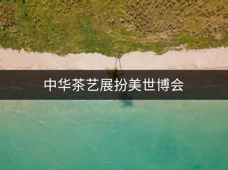 中華茶藝展扮美世博會(huì) 中華茶藝展扮美世博會(huì)