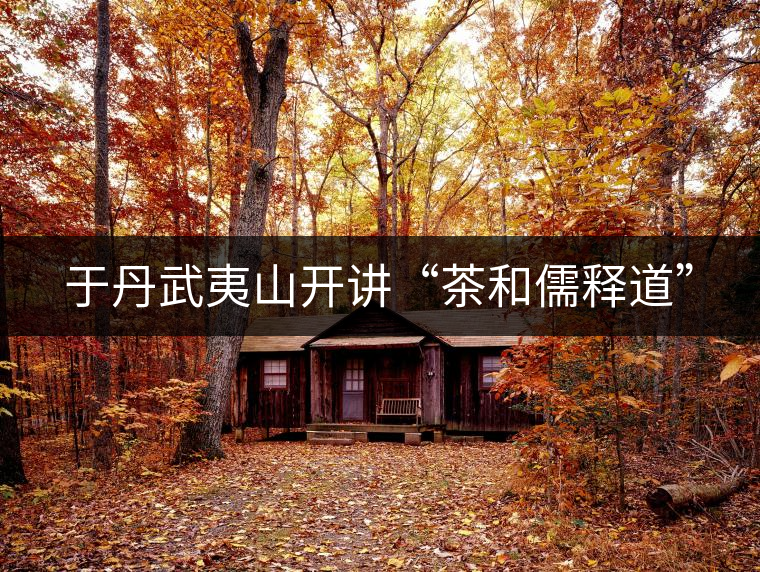 于丹武夷山開講“茶和儒釋道”