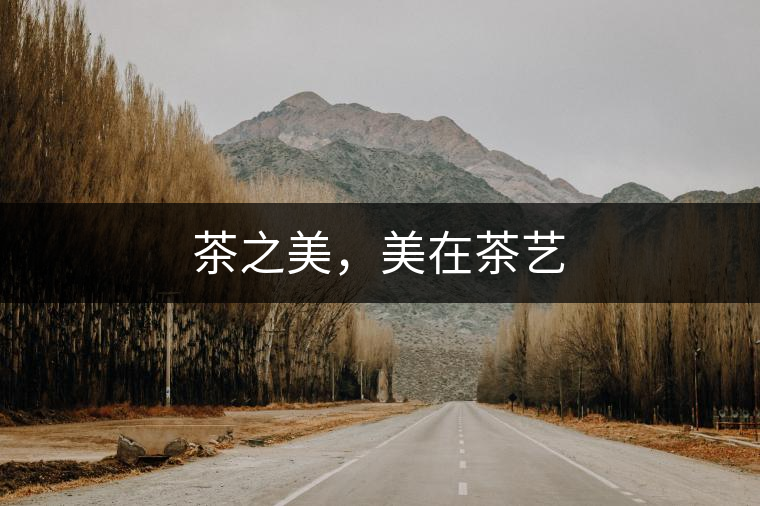 茶之美，美在茶藝
