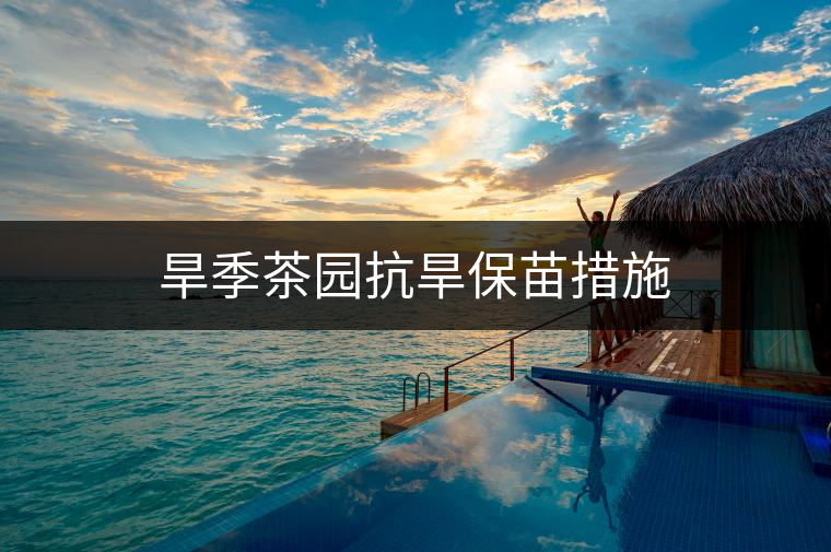 旱季茶園抗旱保苗措施 旱季茶園抗旱保苗措施