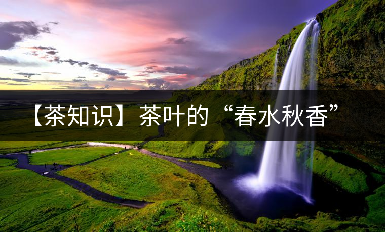 【茶知識】茶葉的“春水秋香”你知道嗎？