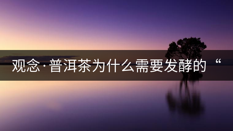 觀念·普洱茶為什么需要發(fā)酵的“載體” 觀念·普洱茶為什么需要發(fā)酵的“載體”