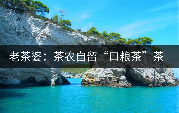 老茶婆:茶農(nóng)自留“口糧茶”茶市中的老茶新寵 老茶婆:茶農(nóng)自留“口糧茶”茶市中的老茶新寵