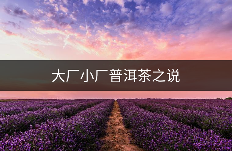 大廠小廠普洱茶之說