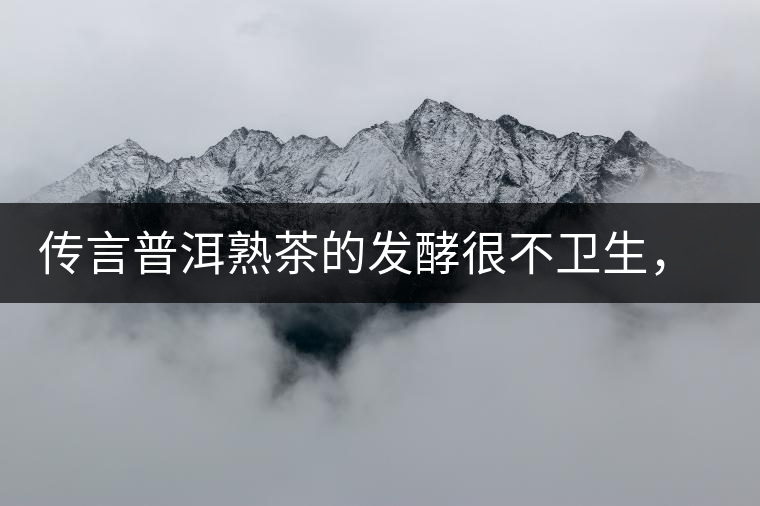 傳言普洱熟茶的發(fā)酵很不衛(wèi)生，是真的嗎？
