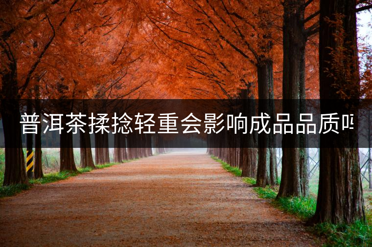 普洱茶揉捻輕重會影響成品品質(zhì)嗎？