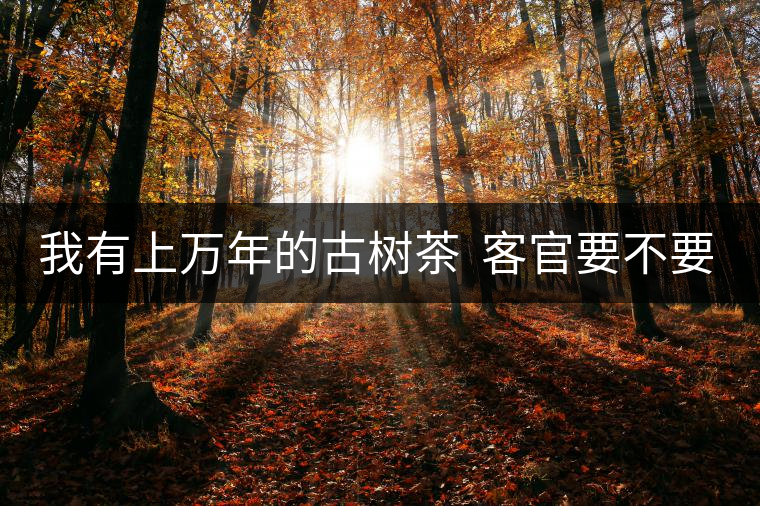 我有上萬年的古樹茶  客官要不要嘗嘗？
