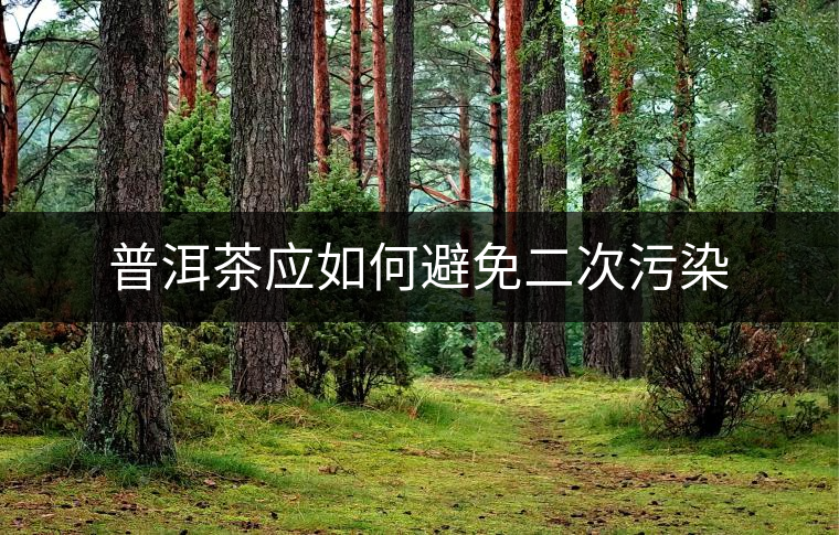 普洱茶應如何避免二次污染