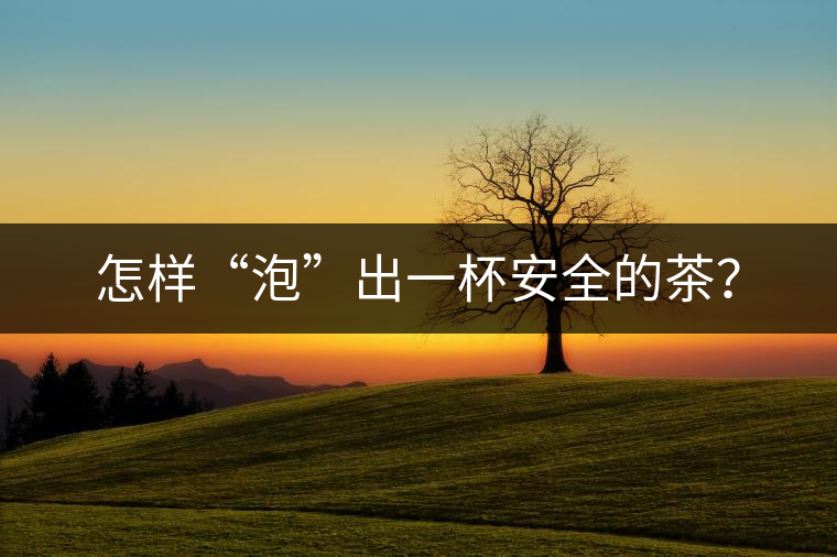 怎樣“泡”出一杯安全的茶？