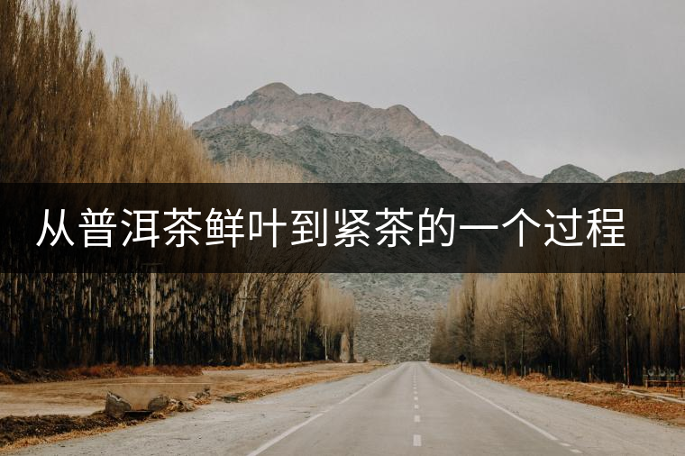 從普洱茶鮮葉到緊茶的一個(gè)過程介紹 從普洱茶鮮葉到緊茶的一個(gè)過程介紹