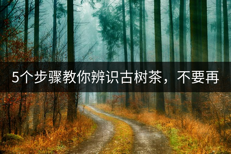5個步驟教你辨識古樹茶，不要再被騙了！