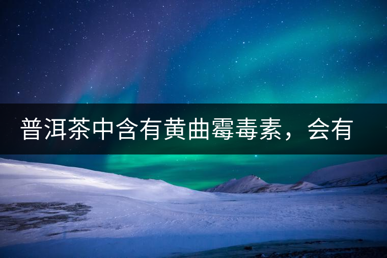 普洱茶中含有黃曲霉毒素，會(huì)有致癌的危險(xiǎn)？終于有明確的答案了