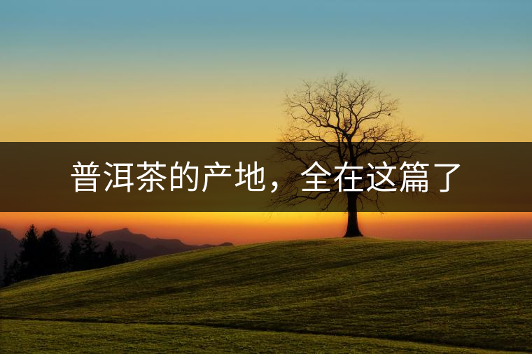 普洱茶的產(chǎn)地，全在這篇了