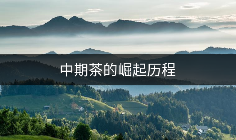 中期茶的崛起歷程