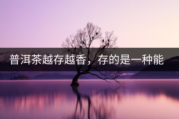 普洱茶越存越香，存的是一種能量