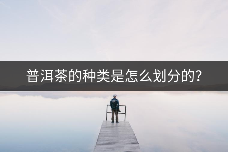 普洱茶的種類是怎么劃分的？