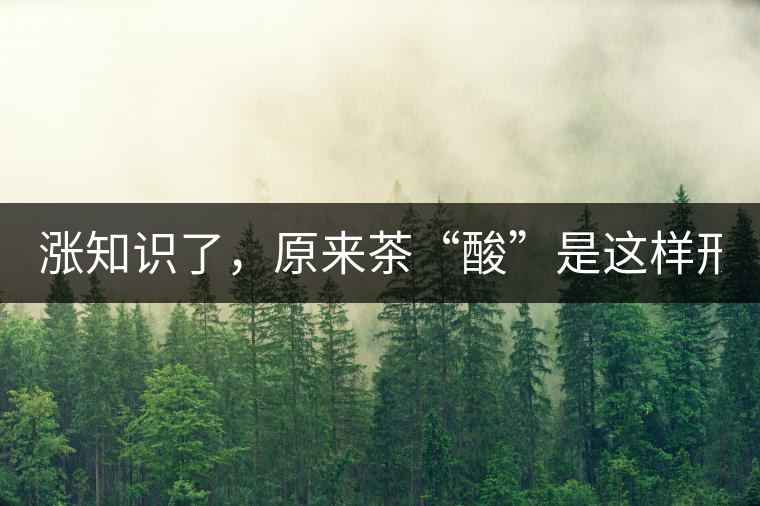 漲知識了，原來茶“酸”是這樣形成的！