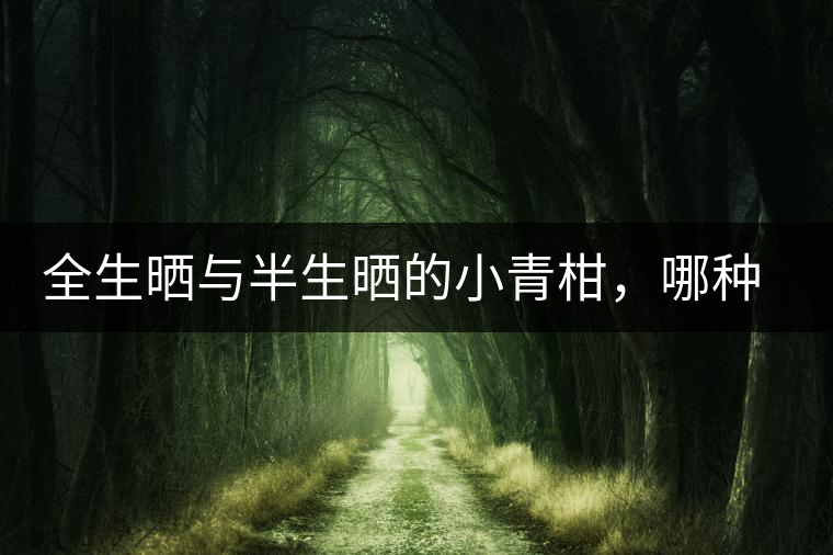 全生曬與半生曬的小青柑，哪種比較好呢？