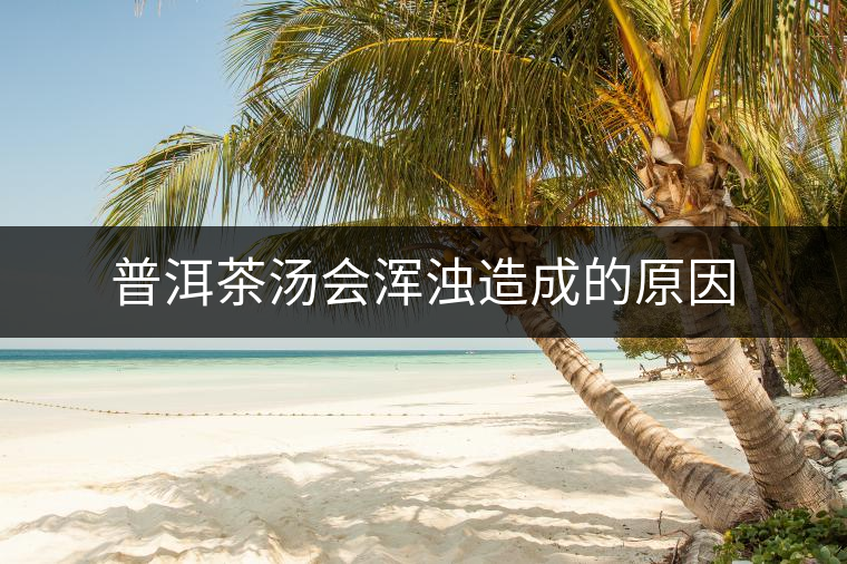 普洱茶湯會(huì)渾濁造成的原因