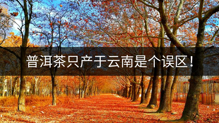 普洱茶只產(chǎn)于云南是個誤區(qū)！