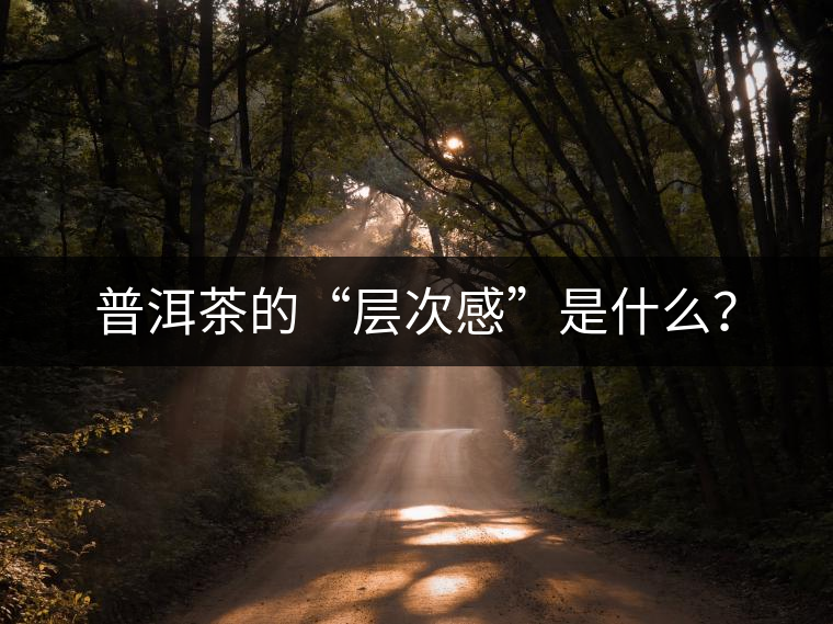 普洱茶的“層次感”是什么？